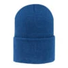 Paramount Apparel Royal Knit Watchcap