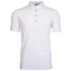 Greyson Men's Arctic Tala Polo